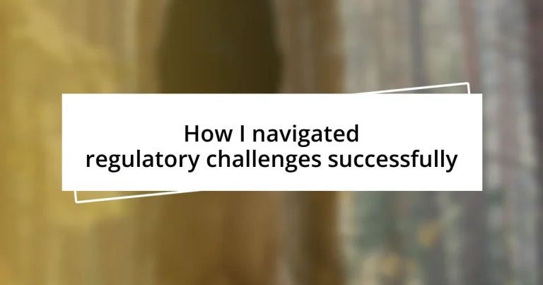 How I navigated regulatory challenges successfully