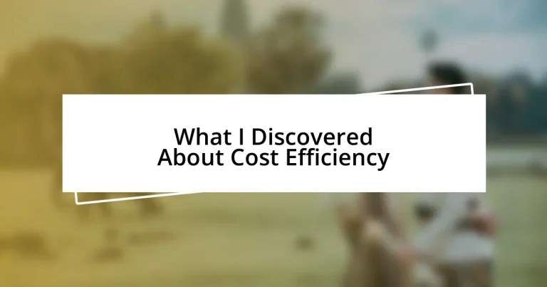 What I Discovered About Cost Efficiency