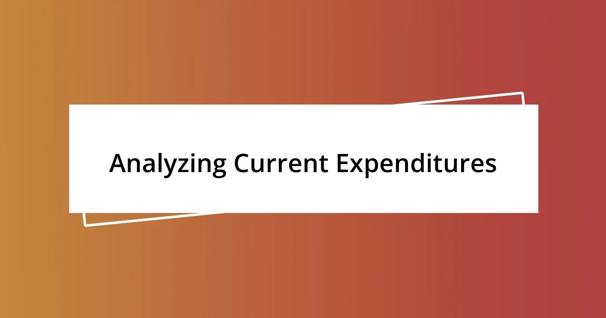 Analyzing Current Expenditures